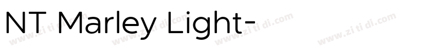 NT Marley Light字体转换